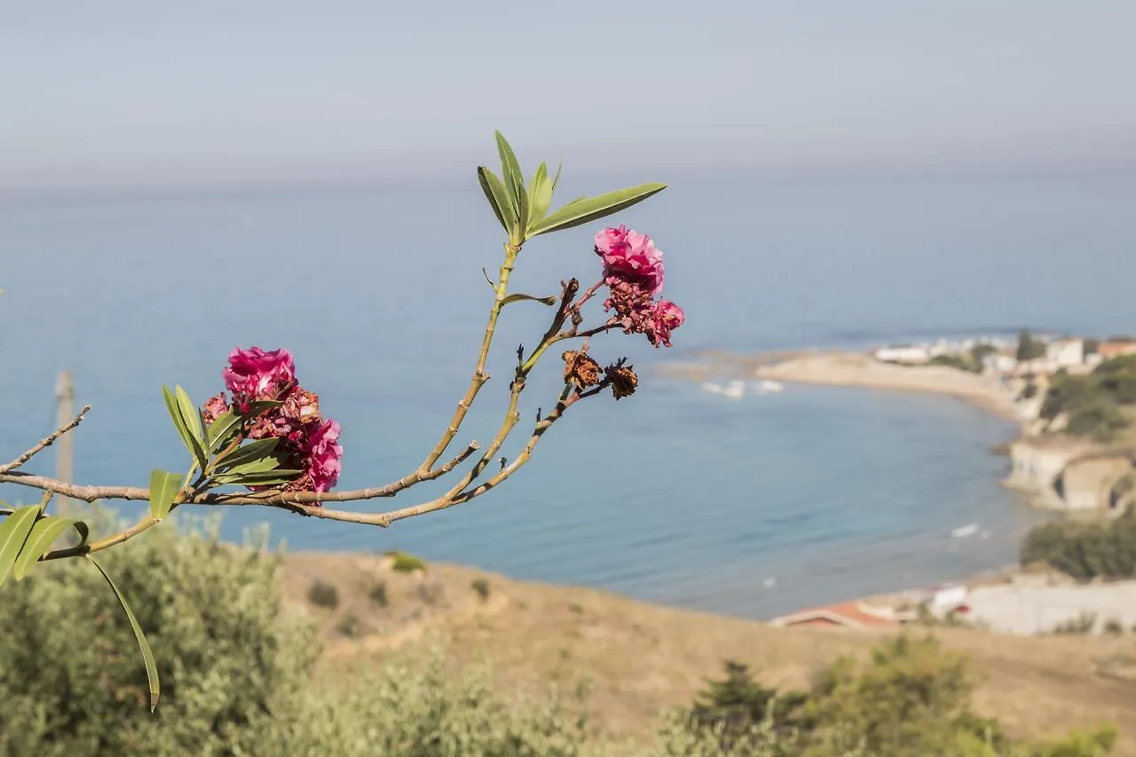B&B Monterosso Реальмонте
